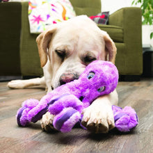 Load image into Gallery viewer, Kong Kong SoftSeas Dog Toy