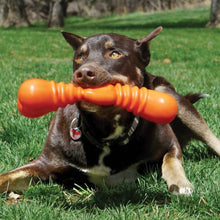Load image into Gallery viewer, Kong Kong SqueakStix Wigglerz Dog Toy - Medium