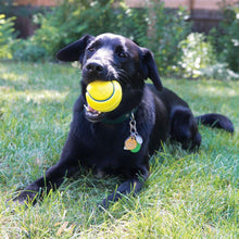Load image into Gallery viewer, Kong Kong Tennis Squeezz Ball Dog Toy