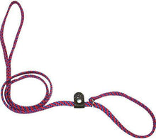 Load image into Gallery viewer, Lone Wolf Products Lone Wolf 1/4” Spiral Color Flat Rope Dog Slip Lead - 6’ only Pacific Blue/Red