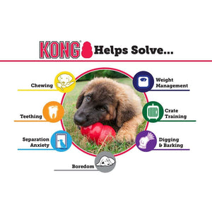 Kong Kong Classic Dog Toy