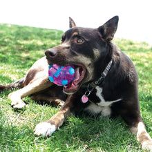 Load image into Gallery viewer, Kong Kong Sport Wrapz Soccer Ball Dog Toy - Medium
