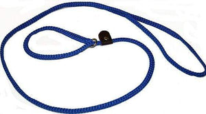 Lone Wolf Products Lone Wolf 1/4” Solid Color Flat Rope Dog Slip Lead - 6’ only Pacific Blue