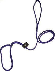 Lone Wolf Products Lone Wolf 1/4” Solid Color Flat Rope Dog Slip Lead - 6’ only Purple