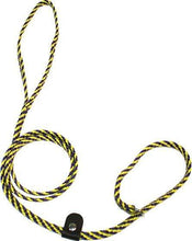Load image into Gallery viewer, Lone Wolf Products Lone Wolf 1/4” Spiral Color Flat Rope Dog Slip Lead - 6’ only