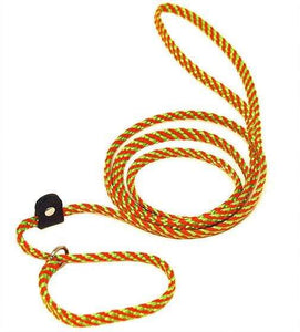 Lone Wolf Products Lone Wolf 1/4” Spiral Color Flat Rope Dog Slip Lead - 6’ only