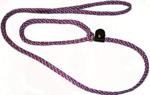 Lone Wolf Products Lone Wolf 1/4” Spiral Color Flat Rope Dog Slip Lead - 6’ only Raspberry/Blue