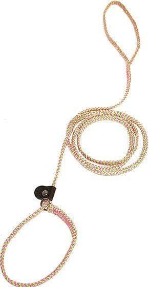Flat slip leads for dogs discount