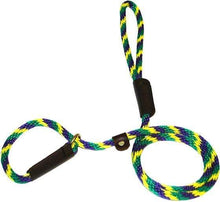 Load image into Gallery viewer, Lone Wolf Products Lone Wolf 3/8” Spiral Color Round Rope Dog Slip Lead - 6’ only Mardi Gras