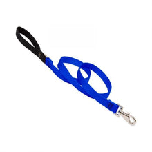 Load image into Gallery viewer, Lupine Lupine Basic Solids Padded Handle Dog Leash 2’ / 3/4” / Blue