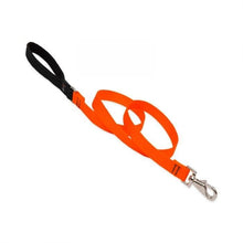 Load image into Gallery viewer, Lupine Lupine Basic Solids Padded Handle Dog Leash 2’ / 3/4” / Orange