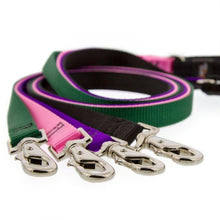 Load image into Gallery viewer, Lupine Lupine Basic Solids Padded Handle Dog Leash