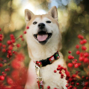 Lupine Lupine Christmas Cheer Dog Collar
