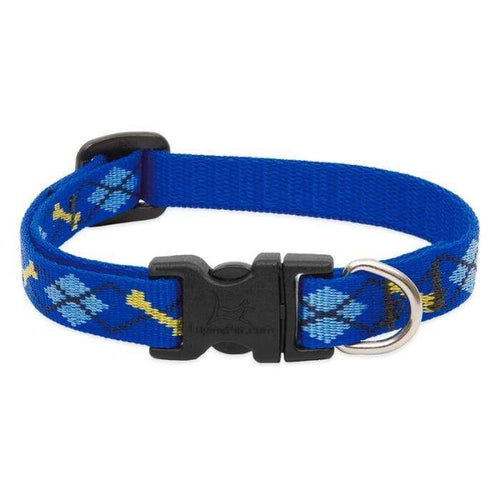 Lupine Lupine Dapper Dog Collar