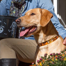 Load image into Gallery viewer, Lupine Lupine Halloween Spooky Dog Collar