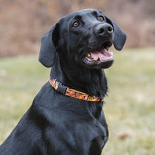 Load image into Gallery viewer, Lupine Lupine Halloween Spooky Dog Collar