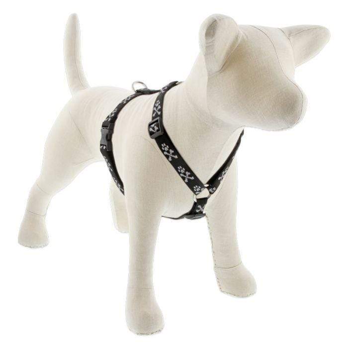 Lupine Roman Style Dog Harness 3 4 Width