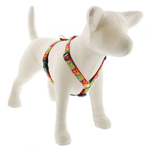 Lupine Lupine Roman Style Dog Harness - 3/4" Width 12"-20" / Crazy Daisy