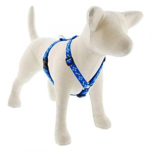 Lupine Lupine Roman Style Dog Harness - 3/4" Width 12"-20" / Dapper Dog