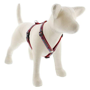 Lupine Lupine Roman Style Dog Harness - 3/4" Width 12"-20" / El Paso
