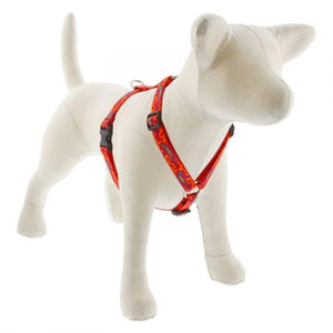 Lupine Lupine Roman Style Dog Harness - 3/4" Width 12"-20" / Go Go Gecko