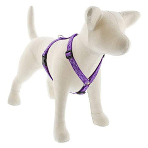 Lupine Lupine Roman Style Dog Harness - 3/4" Width 12"-20" / Jelly Roll