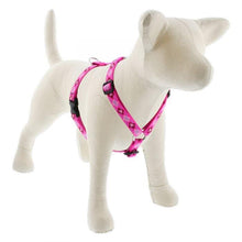 Load image into Gallery viewer, Lupine Lupine Roman Style Dog Harness - 3/4&quot; Width 12&quot;-20&quot; / Puppy Love