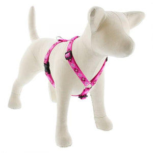 Lupine Lupine Roman Style Dog Harness - 3/4" Width 12"-20" / Puppy Love