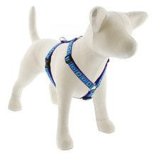 Load image into Gallery viewer, Lupine Lupine Roman Style Dog Harness - 3/4&quot; Width 12&quot;-20&quot; / Sea Glass