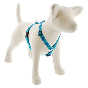 Lupine Lupine Roman Style Dog Harness - 3/4" Width 12"-20" / Turtle Reef