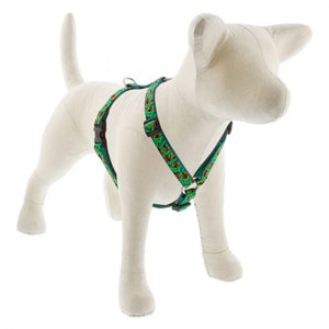 Lupine Lupine Roman Style Dog Harness - 3/4" Width