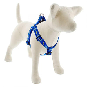 Lupine Lupine Step In Style Dog Harness - 1" Width 19"-28" / Dapper Dog