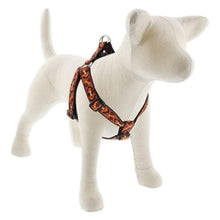 Load image into Gallery viewer, Lupine Lupine Step In Style Dog Harness - 1&quot; Width 19&quot;-28&quot; / Down Under