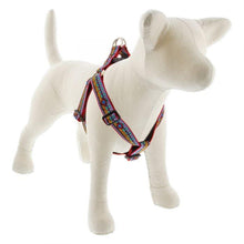 Load image into Gallery viewer, Lupine Lupine Step In Style Dog Harness - 1&quot; Width 19&quot;-28&quot; / El Paso