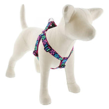 Load image into Gallery viewer, Lupine Lupine Step In Style Dog Harness - 1&quot; Width 19&quot;-28&quot; / Flower Power