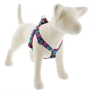Lupine Lupine Step In Style Dog Harness - 1" Width 19"-28" / Flower Power