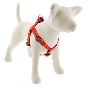 Lupine Lupine Step In Style Dog Harness - 1" Width 19"-28" / Go Go Gecko
