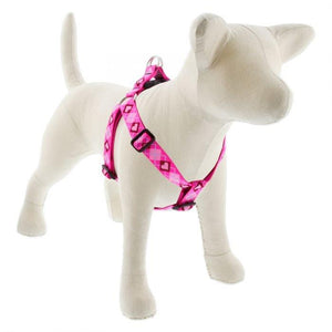 Lupine Lupine Step In Style Dog Harness - 1" Width 19"-28" / Puppy Love