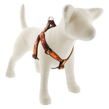 Load image into Gallery viewer, Lupine Lupine Step In Style Dog Harness - 1&quot; Width 19&quot;-28&quot; / Shadow Hunter