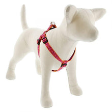 Load image into Gallery viewer, Lupine Lupine Step In Style Dog Harness - 3/4&quot; Width 15&quot;-21&quot; / Alpen Glow