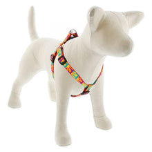 Load image into Gallery viewer, Lupine Lupine Step In Style Dog Harness - 3/4&quot; Width 15&quot;-21&quot; / Crazy Daisy