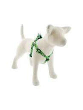 Load image into Gallery viewer, Lupine Lupine Step In Style Dog Harness - 3/4&quot; Width 15-21” / Panda Land