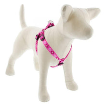 Load image into Gallery viewer, Lupine Lupine Step In Style Dog Harness - 3/4&quot; Width 15&quot;-21&quot; / Puppy Love