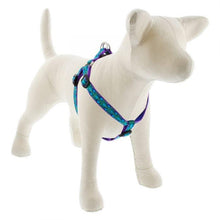 Load image into Gallery viewer, Lupine Lupine Step In Style Dog Harness - 3/4&quot; Width 15&quot;-21&quot; / Rain Song
