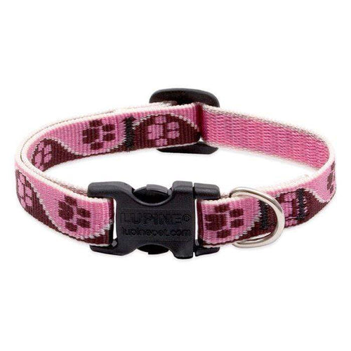 Lupine Lupine Tickled Pink Dog Collar