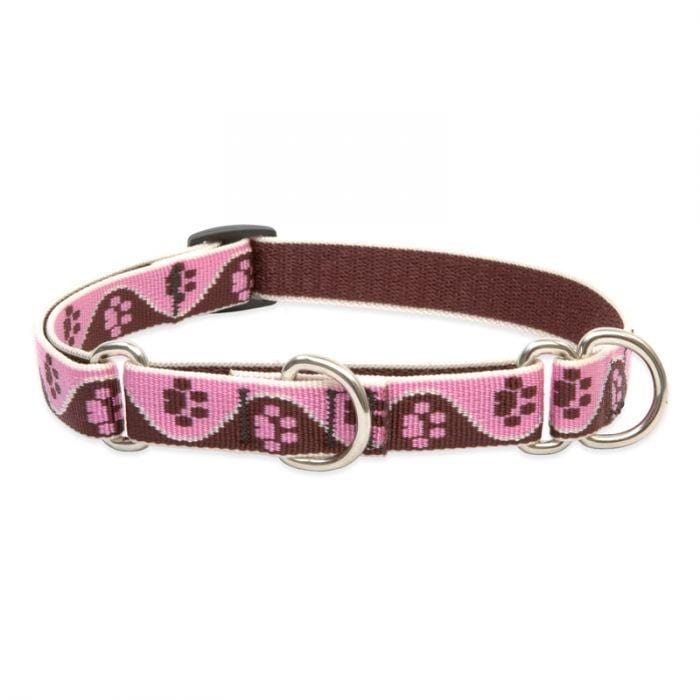Lupine Lupine Tickled Pink Martingale Dog Collar
