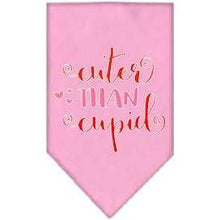 Load image into Gallery viewer, Mirage Pet Products Cuter Than Cupid Valentine’s Dog Bandana Small / Light Pink
