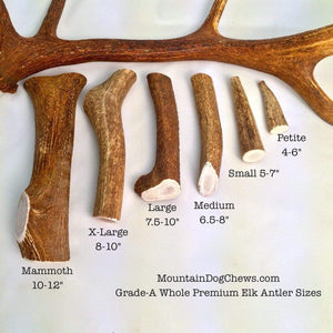 Mountain Dog Chews Mountain Dog Chews - Whole Elk Antlers Dog Chews - Naturally Shed - A+ Grade
