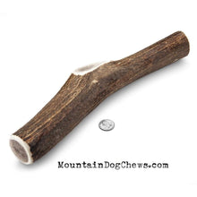 Load image into Gallery viewer, Mountain Dog Chews Mountain Dog Chews - Whole Elk Antlers Dog Chews - Naturally Shed - A+ Grade Mammoth