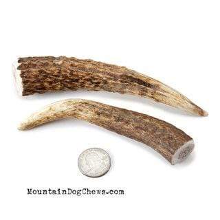 Mountain Dog Chews Mountain Dog Chews - Whole Elk Antlers Dog Chews - Naturally Shed - A+ Grade Petite
